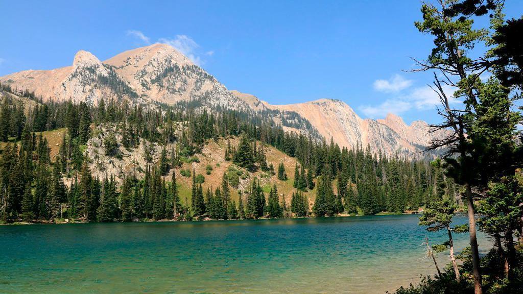 Jet‑Driven Boom Turns Montana’s Green Landscape into a Housing Crisis