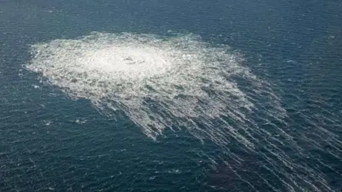 Ukrainian Ex-Military Officer Accuses Italy of Coercion in Nord Stream Case