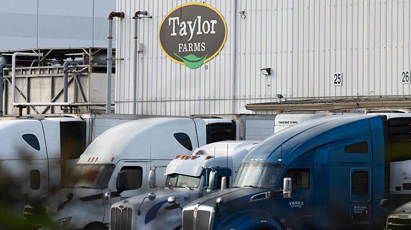 False positive in US lettuce outbreak exposes gaps in food safety monitoring and the need for resilient supply chains against climate‑driven pathogens