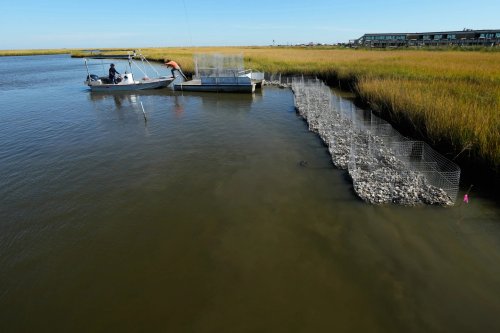 Louisiana Tribes Tackle Coastal Erosion with Innovative Solutions