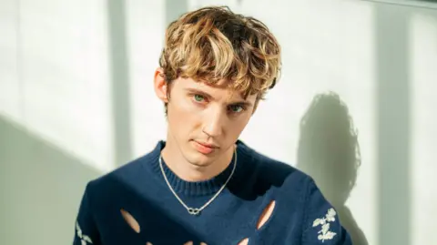 Cosmetic Doctor's Unsolicited Critique of Troye Sivan Sparks Backlash