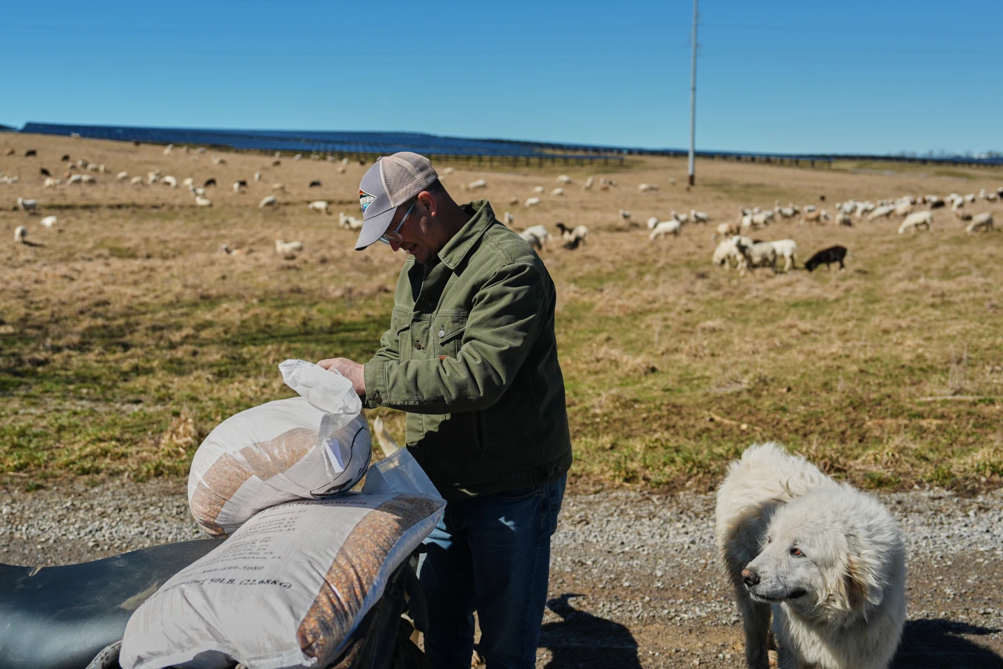 Rural Farmers Face Solar Funding Challenges Amid Policy Changes