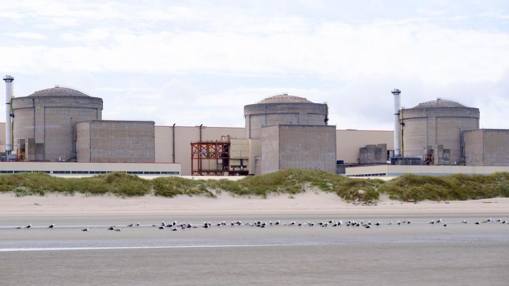 Jellyfish Swarms Shut Gravelines Nuclear Plant, Highlighting Ocean Climate Stress