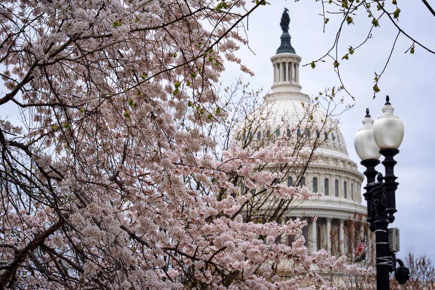 Senate Democrats Call for Accountability Amid GOP Push for Homeland Security Funding