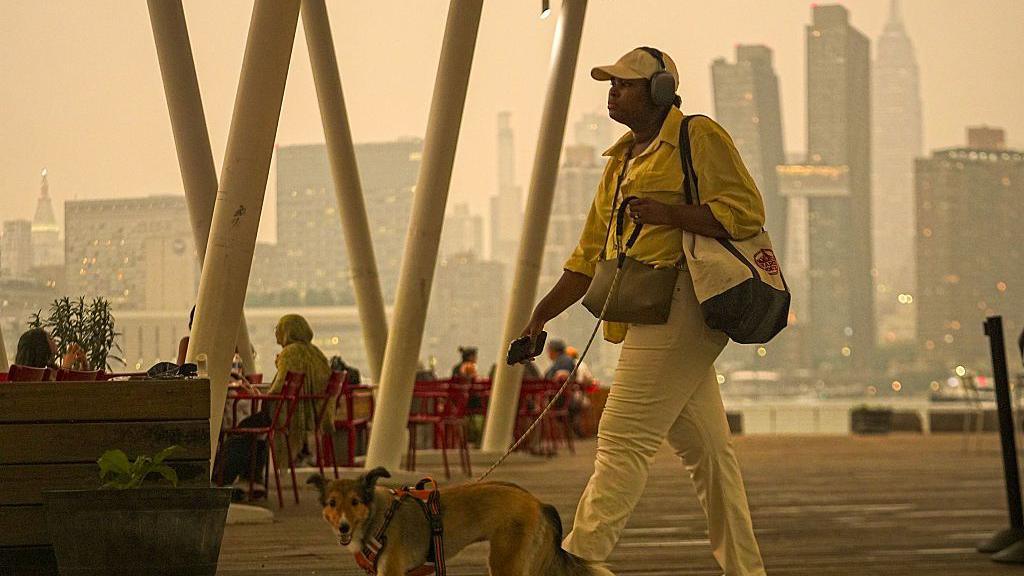 Canadian Wildfires Blight Northern Hemisphere: Air Quality Alerts Cross US Borders