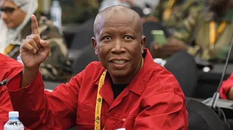 Future of Julius Malema: Can South Africa's Opposition Leader Bounce Back from His Sentencing?