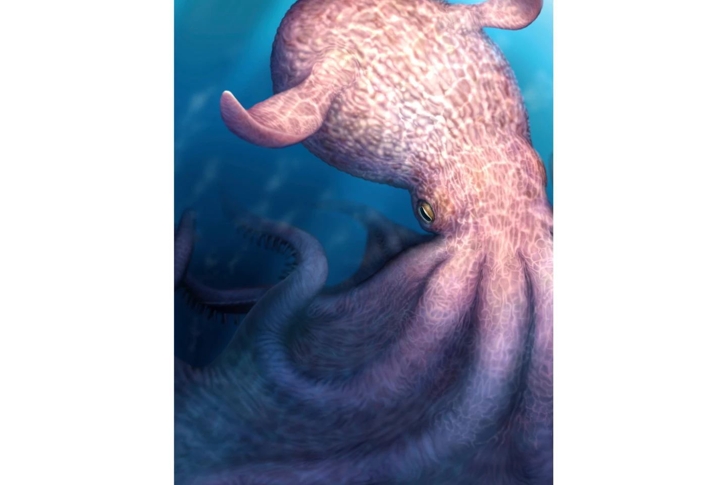 Ancient Octopuses: The Titans of Prehistoric Oceans