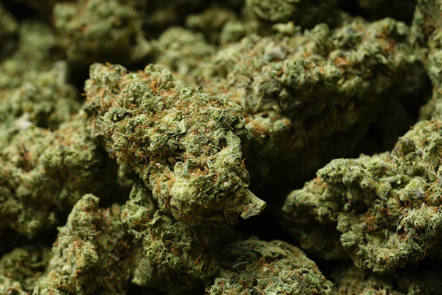 Historic Reclassification of Medical Marijuana: A Step Forward or Just a Tax Break?