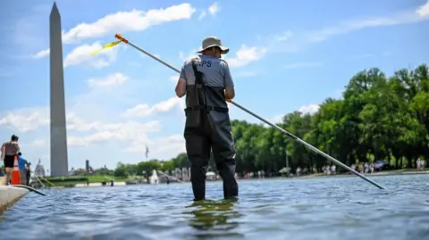 Algae Bloom Threatens Washington’s Reflecting Pool: A Chance for Sustainable Water Management