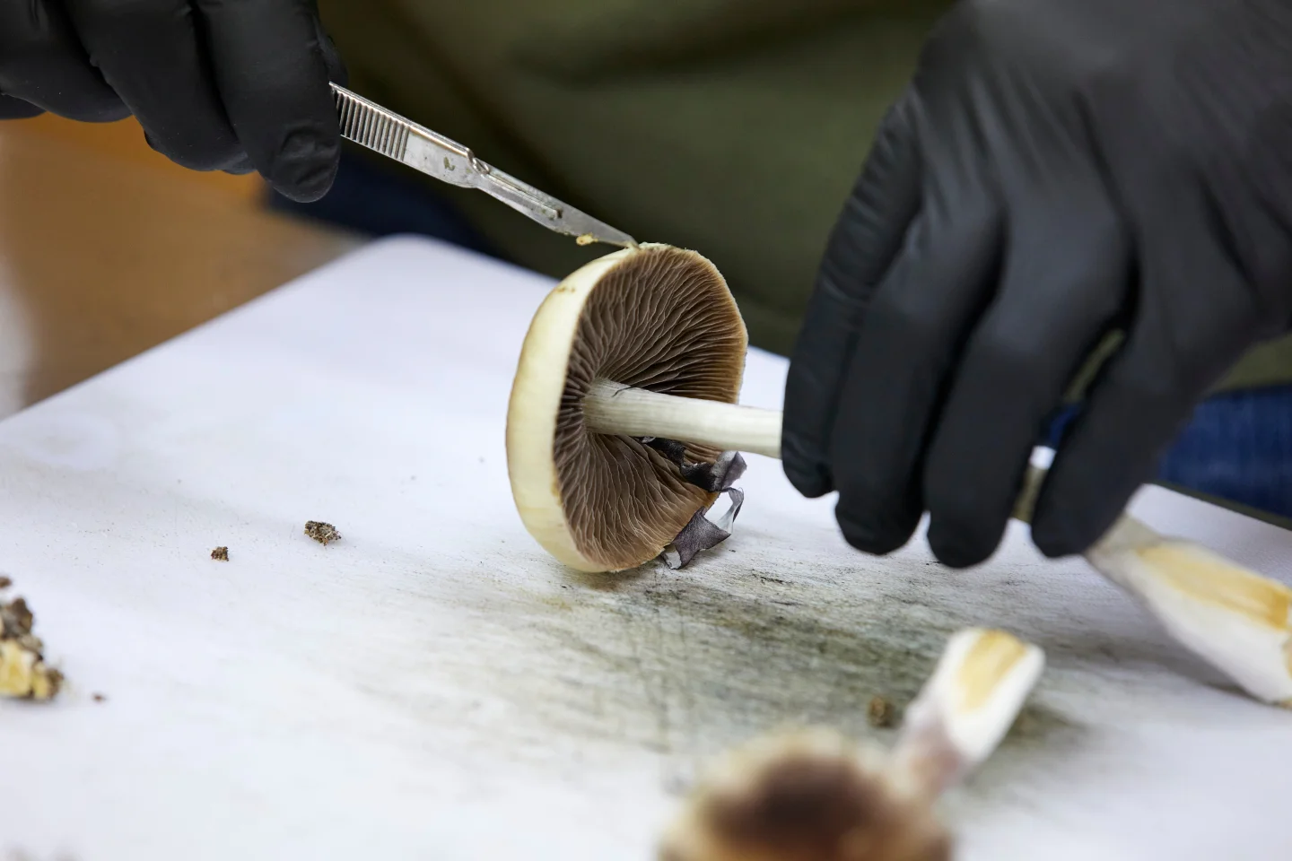 FDA Fast-Tracking Review of Three Psychedelic Drugs for Mental Health Treatment