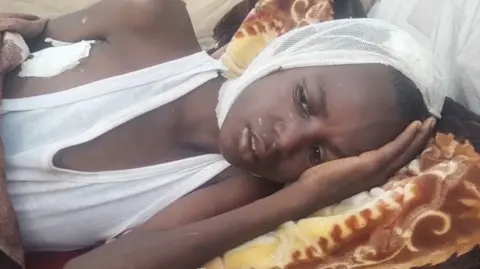 El-Fasher in Peril: A Mother's Heartbreaking Plea Amid the Siege