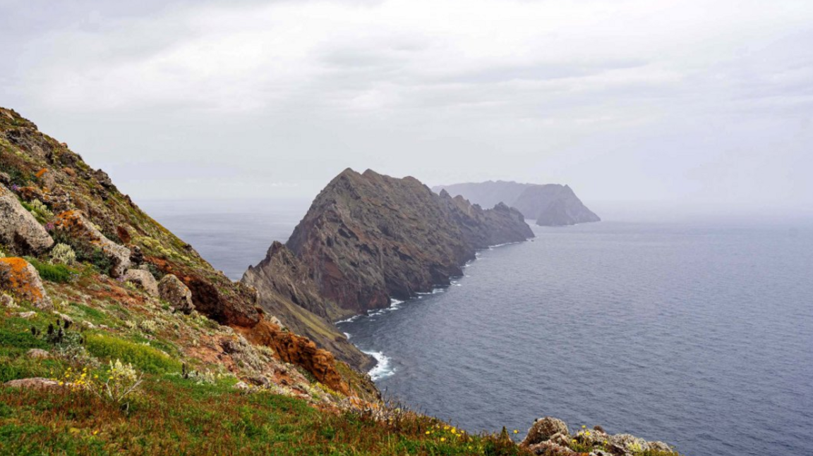 Chester Zoo Rescues Near‑Extinct Snails from Remote Bugio Island
