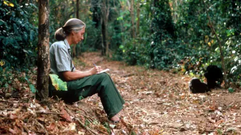 Beloved Conservationist Dame Jane Goodall Passes Away at 91