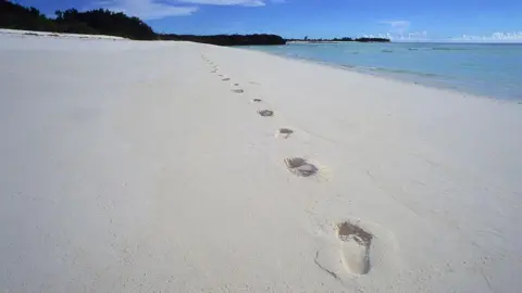 Assumption Island's Impact on Seychelles Presidential Elections