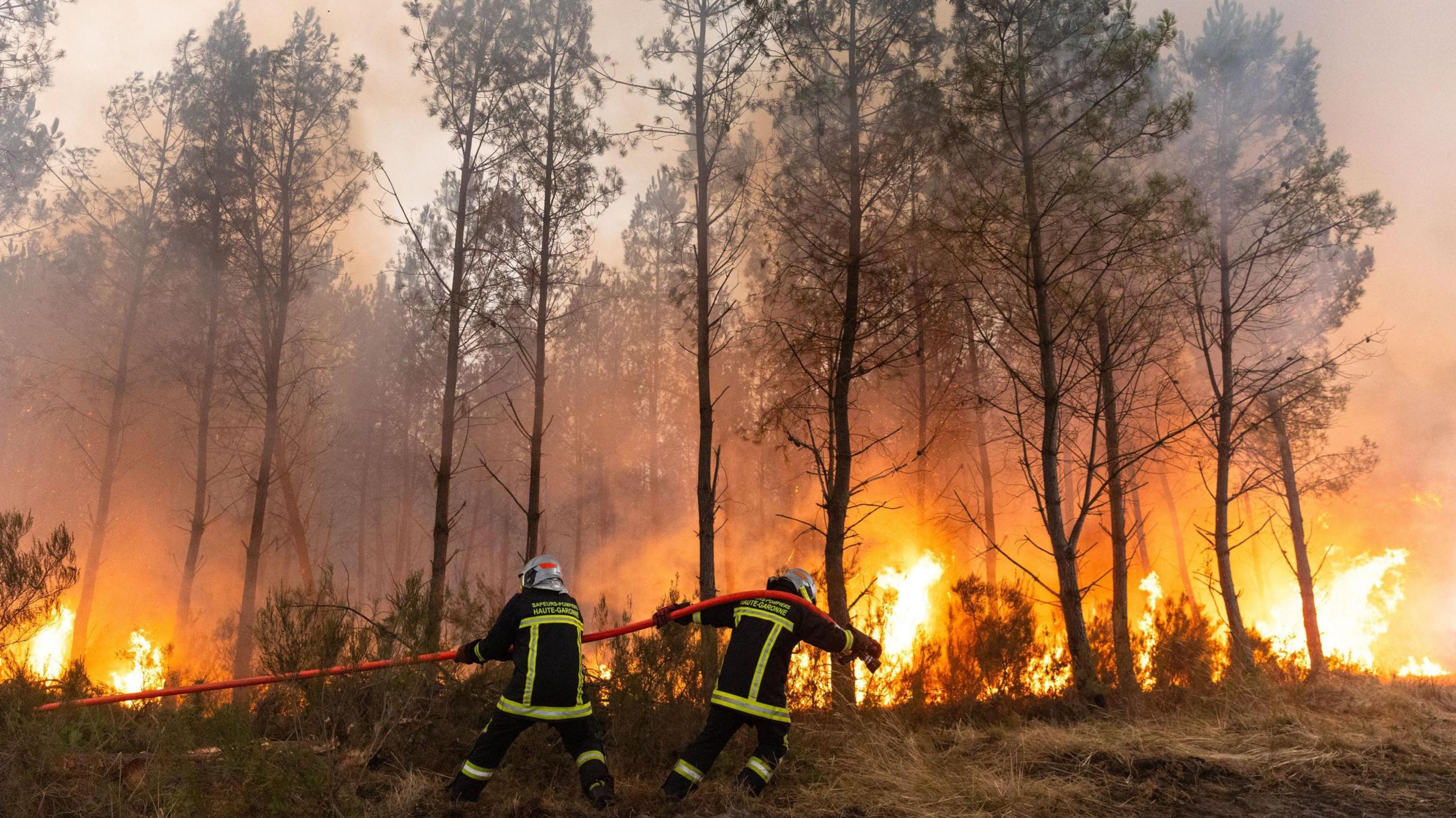 Fire in Bordeaux: Residents Face a "Wall of Flames" and Toxic Smoke