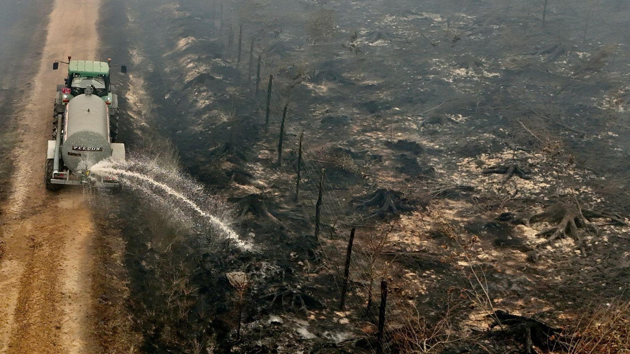 Belgian Wildfire Rises Amid Europe’s Heatwave, Threatening Largest Nature Reserve