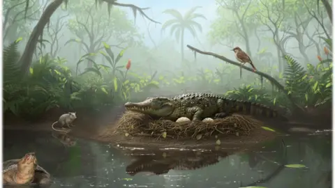 Ancient 'Drop Crocs' Uncovered: The Rise of Tree-Climbing Crocodiles in Australia