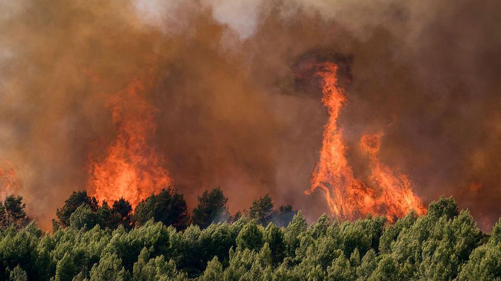France Sees Over 2,000 Excess Deaths Amid Record-Breaking Heatwave; Europe Faces Another Extreme Surge