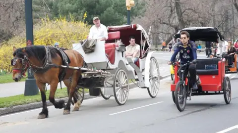 Teenager dies after horse-drawn carriage falls in Central Park