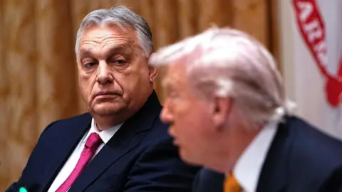 Orban's Visit to Trump: Energy Deals and Political Gains Amidst EU Tensions