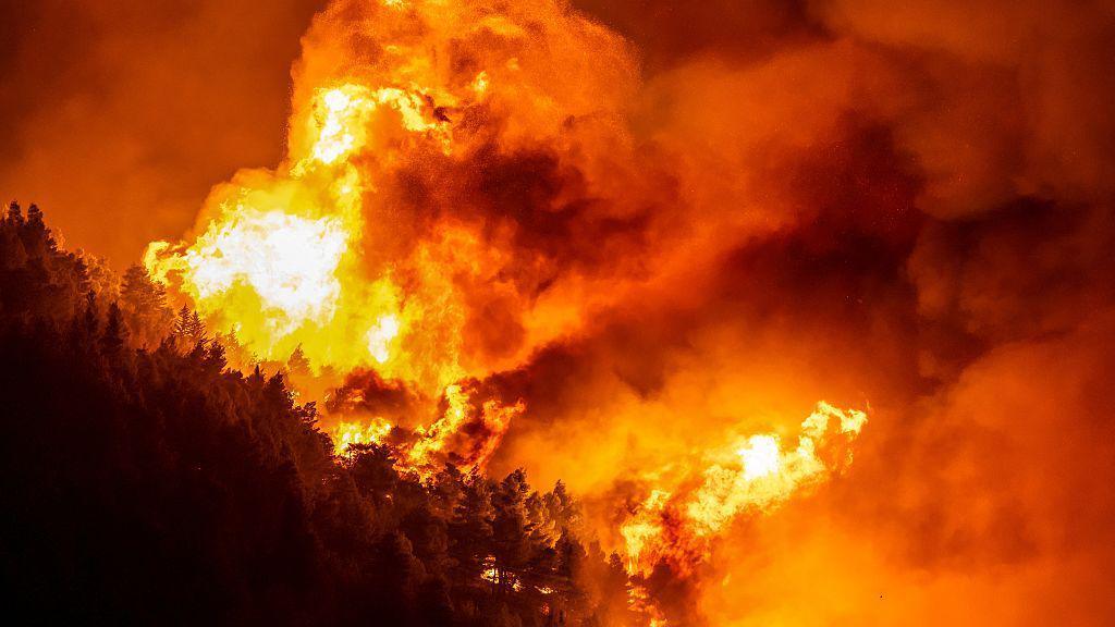 Wildfire Devastates Croatia’s Coast, Killing One and Injuring 40