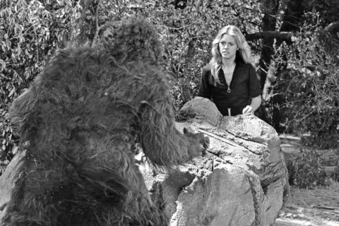 The Enigmatic Pursuit of Bigfoot: Insights from Researchers