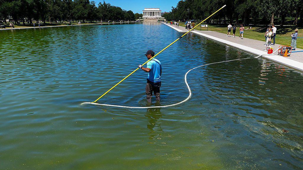 Olympian Arrested Over Reflecting Pool Incident Highlights Algae Crisis in Washington DC