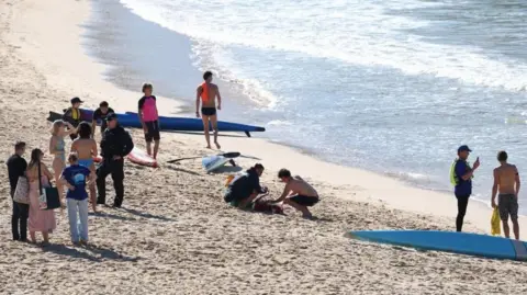 Woman Seriously Injured After Shark Attack at Sydney Beach