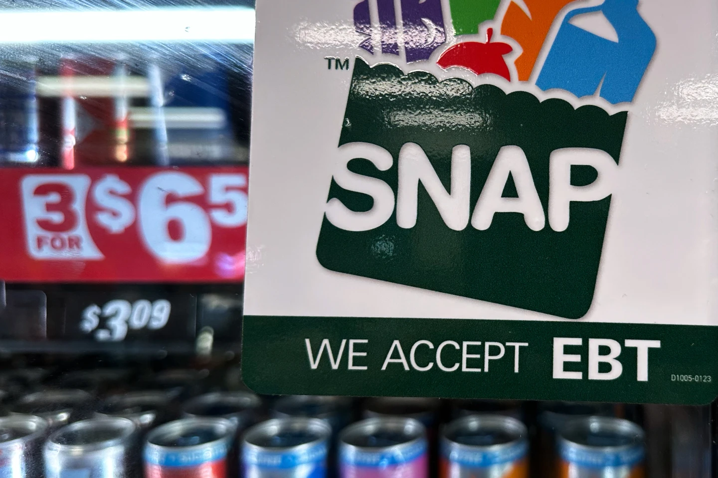 Fraud in SNAP: An Analytical Perspective on Assistance Program Challenges