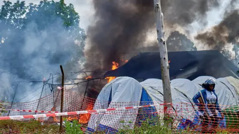 Ebola Crisis in DR Congo: Deforestation and Climate Change Fuel Deadly Virus Spread