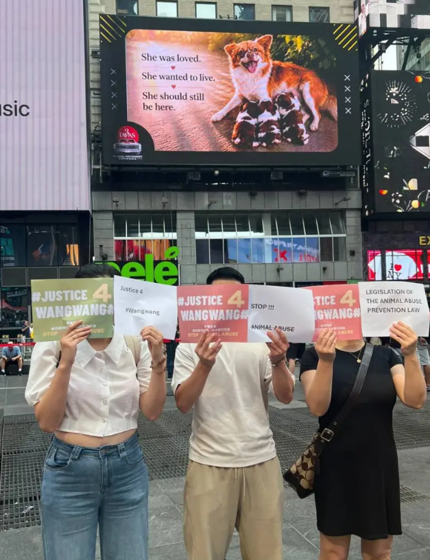 From Censorship to Global Billboards: How a Chinese Animal Cruelty Case Ignites International Advocacy