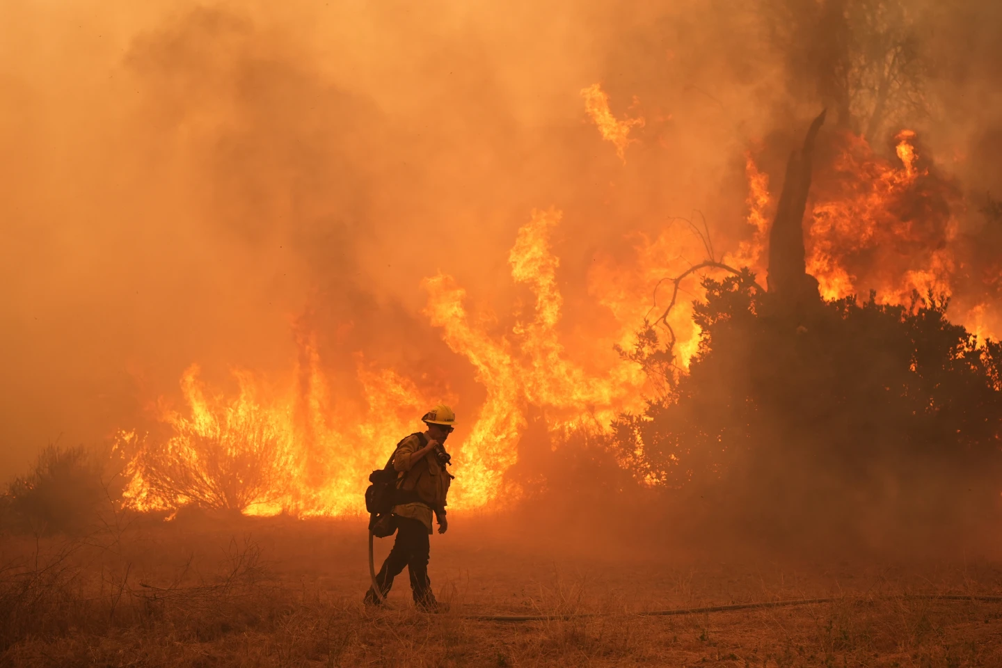 Record Drought in the U.S.: Alarming Impacts on Wildfires, Food Prices, and Water Resources