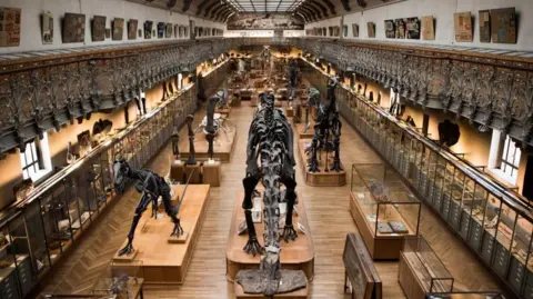 Museum Heist Linked to Cyberattack: Woman Arrested for Gold Theft in Paris