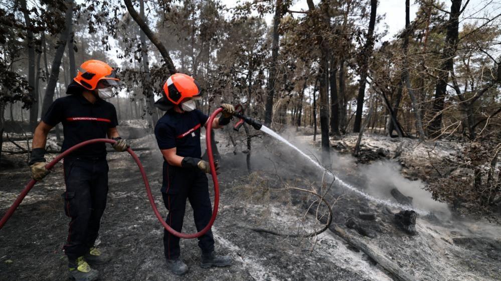 Volunteer Firefighter Investigated After 2,000‑ha Fontainebleau Blaze
