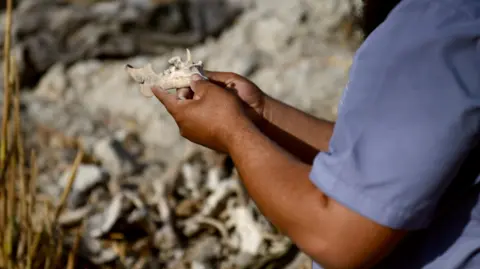 The Struggle for Justice: Families of Syria's Missing Seek Answers