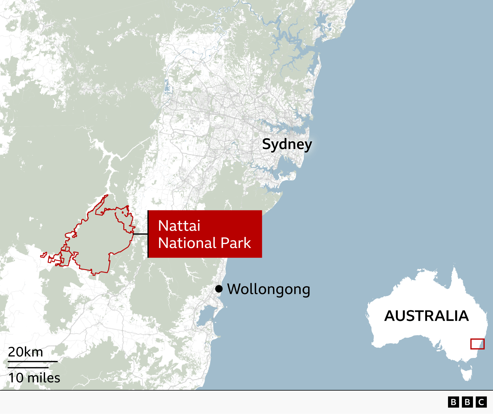 Bushland Tragedy: Australian Hiker’s Death After Brief Misreport of Survival