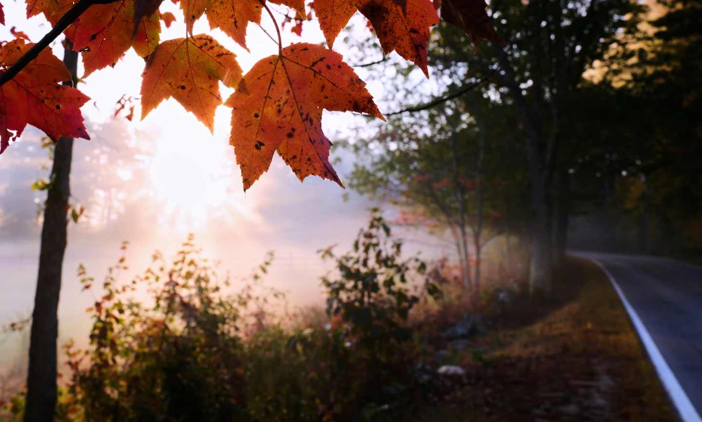 Drought Wanes Autumn Colors Across the Northeast and Rocky Mountains